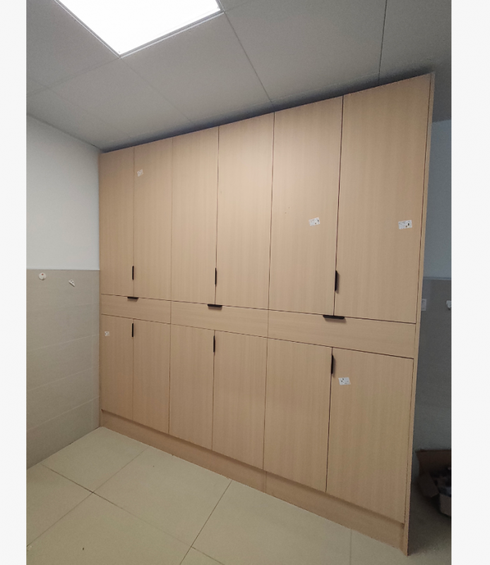 629-欣金泰 更衣柜